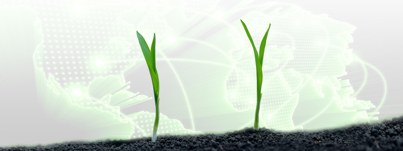 贵州农产品推广